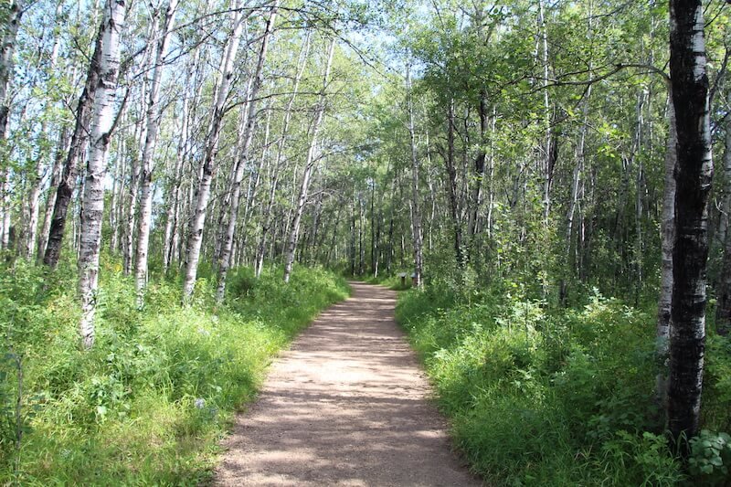 Stony Plain's Nearby Hiking Trails